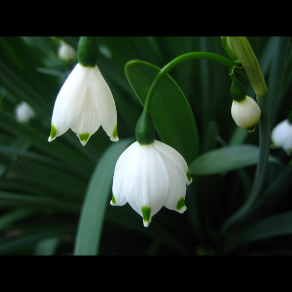 Meet the Posher Other - Meet your Posher, Rochelle